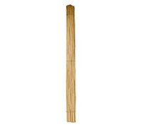 NEXTRADEITALIA CF da 50PZ CANNA BAMBOO ø24/26 mm. circa - h. mt 2,1