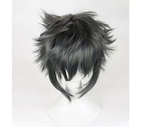 NEZIH Parrucca Cosplay Anime, Parrucca Noctis Lucis Caelum, Parrucca Grigia, con Cappuccio Parrucca, Adatto per Halloween, Feste, Carnevali, Vita Notturna, Concerti, Regalo Dell'anime