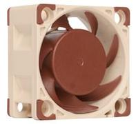 Noctua Ventola NF-A4x20 - FLX