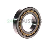 NF211E G1 C3 NTN 55 x 100 x 21 mm CYL. ROLL. SINGLE ROW