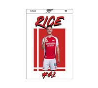 NFHRCS Declan - Poster su tela con motivo "Rice Football", decorazione per camera da letto, ufficio, camera da letto, regalo, 20 x 30 cm