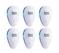 NFL America's Game: Dallas Cowboys Super Bowl XII