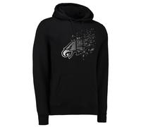 NFL Hoody Philadelphia Eagles Shatter Grafico con Cappuccio Felpa Pullover