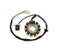 NFYsCHZ Accessori Bobina di accensione a 12 Poli, statore, Magnete for Motori GY6 125cc 150cc, Accessori for ciclomotori, Scooter, ATV, Quad, Go-Kart