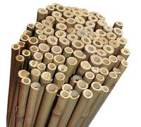 NG NICCOLAI - CANNE BAMBOO PER SOSTEGNO ORTAGGI, ARREDAMENTO E ALTRI USI - VARIE ALTEZZE E MISURE CONFEZIONI DA 10-25 - 50 PEZZI (10, H.210 cm - Ø 22-24 mm)