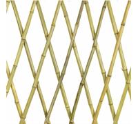 NG NICCOLAI TRALICCIO ESTENSIBILE BAMBOO VARIE MISURE (180X180 CM)