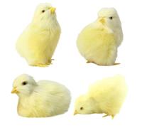 Ngbbby 4 Pezzi di Pulcini di Simulazione Peluche Pulcino Giocattoli 4 Pose Realistico Giocattolo di Animali pasquali per Oggetti di Scena Primaverili