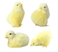 Ngbbby 4 Pezzi Pulcini, Simulazione Peluche Pulcini, 4 Pose Realistico Animale Pasquale Giocattolo per Foto Primaverili Cestino Decorazione Pollo Pasquale, Giocattoli