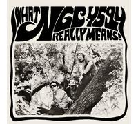 NGC-4594 What NGC-4594 Really Means (Vinyl LP) 12" Album with 7" Single