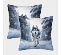 NGGADIWEG Husky 3D Con Stampa Di Cuscini Divano Moderni Decorativi Quadrati Copricuscini Set Di 2 Giardino Balcone Arredo Decorativi Soggiorno Camera Da Letto Accessori 40x40cm