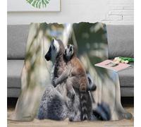 NGGADIWEG stampa 3D lemur baby coperta microfibra biancheria da letto morbida e calda plaid compatto anti-pilling per studenti universitari wild animal fotografia 40x50inch(100x130cm)