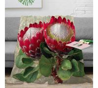 NGGADIWEG stampa 3D Red protea blooms coperta da viaggio microfibra biancheria da letto anti-pilling plaid da viaggio compatto per regali per avventurieri Botanical giardino 40x50inch(100x130cm)