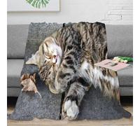 NGGADIWEG stampa 3D sleeping cat plaid da salotto microfibra biancheria da letto soffice e caldo coperta da camera da letto lavabile in lavatrice per camera cozy indoor pet 50x60inch(127x152cm)
