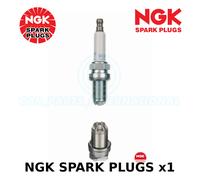 Ngk Candeletta Gialla - Stk No: 6872 - Part No: BKR6EQUA - x1