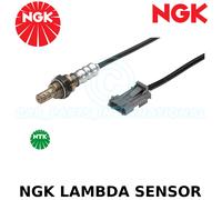 Ngk Sonda Lambda (Ossigeno O2) - 4 Cavo - Stk Nessun: 7979, Parte OZA676-EE1