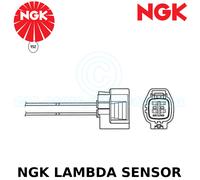 Ngk Sonda Lambda (Ossigeno O2) - 4 Cavo - Stk Nessun: 95766, Parte OZA669-EE85