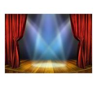 NGNVKDID 7x5ft Vinyl Theater Stage Theme Backdrop Photography Background Stage Spotlights Red Curtains Wooden Floor Festival Celebration Backdrop Children Baby Adults Portraits Photo Studio(10x7ft)