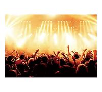 NGNVKDID 8x6ft Stage Spotlight Backdrop Concert Live Plateform Background Rock Star Music Show Audience Banner Party Decorations Supplies Photo Portrait Vinyl Studio Video Prop(12x10')