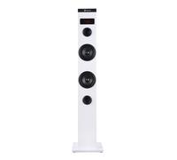 Ngs speaker a torre sky charm bluetooth usb radiofm aux 50w bianca