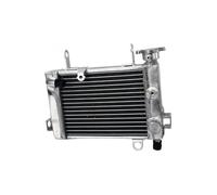 NGYBSFHxsr Radiatore di raffreddamento del motore, compatibile con Honda CBR125R 04-19 CBR 125 R Set di raffreddamento ad acqua(CBR125R 12-19)