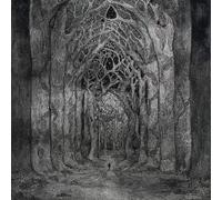 NHOR Within The Darkness Between The Starlight (Vinyl LP)
