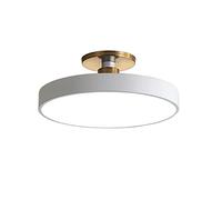 NHPJFDC Plafoniera a LED a Incasso, Rotonda, Ideale per Camera da Letto e vano Scale. Luci Decorative a Tre Temperature di Colore Regolabili (Bianca, 30 cm).