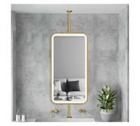 NHPJFDC Specchio bifacciale da soffitto con Luce LED, Girevole a 360 Gradi, Luce dimmerabile a 3 Colori per Bagno, Ingresso, Negozio, Hotel (Oro, 60x100 cm)