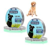 NHQZ 2 PCS Collari per cani, Collare antizecche per cani e gatti, Collare di prevenzione luminoso contro i parassiti, collare fluorescente, universalmente regolabile a qualsiasi taglia
