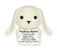 NHQZ Pocket Hug Peluche a forma di coniglio positivo -decorazione per scrivania - portafortuna con carta positiva - bambola fatta a mano - regalo per amici