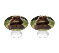 NHYDSPQ Maniglia del cassetto, Hi Bear si siede sul prato stampa manopole decorative, manopole comò, pomelli per cassetti, pomelli per armadi con viti