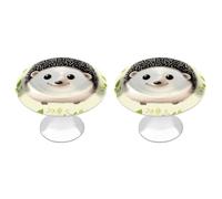 NHYDSPQ Maniglia del cassetto, pomelli decorativi con stampa di riccio carino, manopole per cassettiere, pomelli per cassetti, pomelli per armadi con viti
