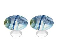 NHYDSPQ Maniglia del cassetto, pomelli decorativi dipinti a mano con libellula blu, pomelli per comò, pomelli per cassetti, pomelli per armadietti con viti