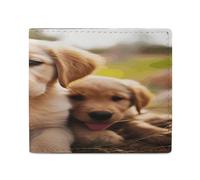 NHYDSPQ Portafogli, portafogli da uomo con stampa di cuccioli di Golden Retriever, portafoglio sottile da uomo, alla moda, con scomparti multipli per carte, stile, taglia unica, moderno