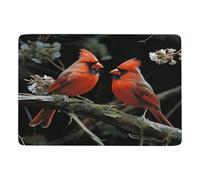 NHYDSPQ Tappeto da bagno con stampa di uccelli cardinali fauna selvatica, tappetino da bagno lavabile, tappeti da bagno in microfibra, morbidi e antiscivolo