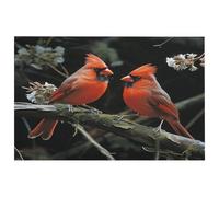 NHYDSPQ Tappeto da bagno con stampa di uccelli cardinali fauna selvatica, tappetino da bagno lavabile, tappeti da bagno in microfibra, morbidi e antiscivolo