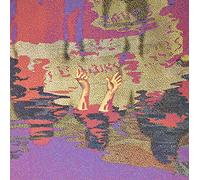 Nic Arizona - Shavua Tov