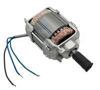 NICE GRUPPO MOTORE ELETTRICO ASSEMBLATO RICAMBIO WINGO WG5000 WG4000 230V WGA05