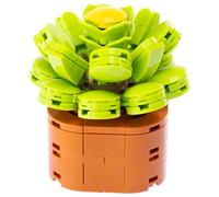 Nice Mattoncini - Exotic Plants - Set da Costruzione in Blocchi della Pianta Aeonium Canariens - cod 78044