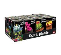 Nice Mattoncini- Fiori Pianta Esotica, Multicolore, 78040