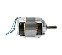 NICE WGA05 Motore Elettrico Assemblato 220V 230V WINGO WG5000 WG4000 Ricambio