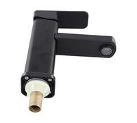 Niceminiwall Rubinetto singolo per lavabo freddo per lavandino del bagno, rubinetto nero in acciaio inossidabile 304 con manico in plastica e finitura anti-impronte, per standard