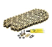 NICHE Catena in oro 420 X-Ring 110 maglie con collegamento Master Link