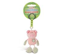 NICI Maiale 7cm Talismano Rosa-Verde Forma di Animale con Anello per cordini e Portachiavi, Ciondolo Portafortuna per Borsa con Messaggio, 49382