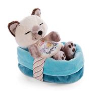 NICI Gatto con Cestino 12 cm - Sleeping Pets Gattina Siamese, Bambini e Neonati - Pupazzo Imbottito per Le Coccole, i Giochi e la Nanna - Morbidi Animali di Peluche, Colore Beige, 47893