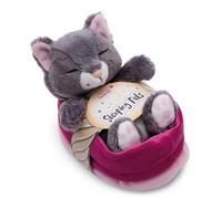 NICI Peluche gatto grigio 12cm che dorme in un cestino rosa - Simpatico peluchetto con imbottitura morbida per giochi e coccole, perfetto come idea regalo per bambini e adulti