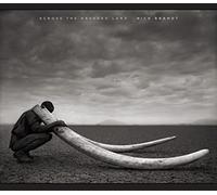 Nick Brandt: Across the Ravaged Land