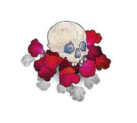 Nick Connolly The Strange Order of Things (Vinyl LP) 12" Album