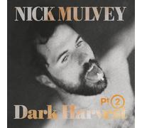 Nick Mulvey - Dark Harvest Pt. 2
