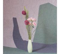 Nick Schofield - Ambient Ensemble (PARLOR GREEN VINYL)