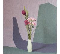 Nick Schofield Ambient Ensemble (PARLOR GREEN VINYL) (Vinyl LP)